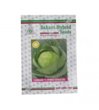 Cabbage / Patta Gobi Venus-065 10 grams